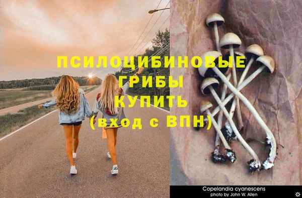 spice Алзамай