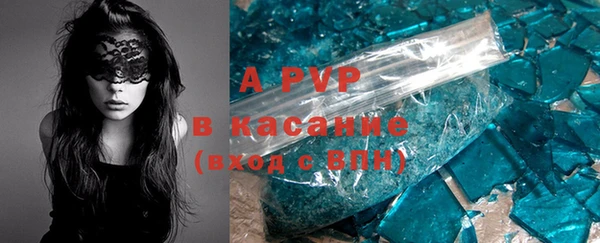 spice Алзамай