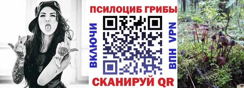 нарко площадка состав  Каменка  Галлюциногенные грибы мицелий 