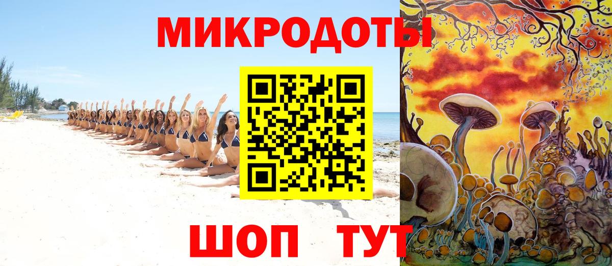 Галлюциногенные грибы прущие грибы  Псилоцибиновые грибы Magic Shrooms  Вход с VPN  Каменка 