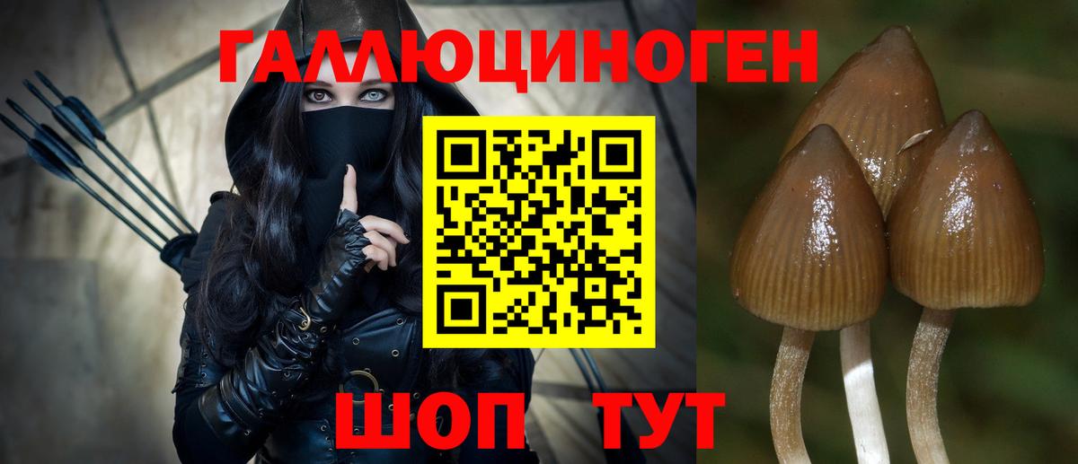 Гашиш Каменка