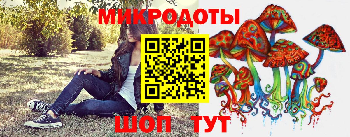 Галлюциногенные грибы MAGIC MUSHROOMS Каменка